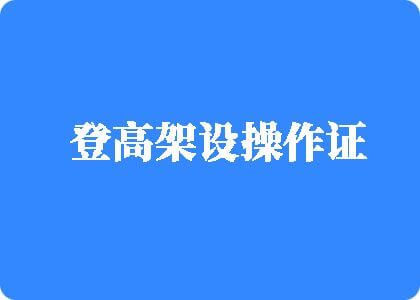 欧美大屌操逼逼操得贼爽登高架设操作证